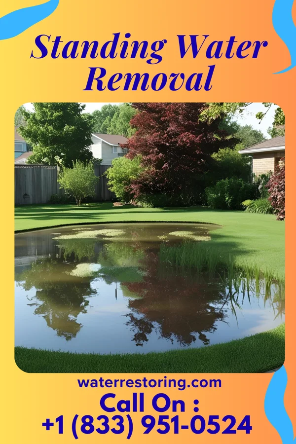 Standing Water Removal in Blairstown, IA